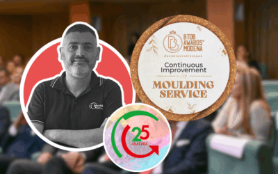 Moulding Service Modena candidata ai BtoB Awards 2025 | Votaci per il Continuous Improvement